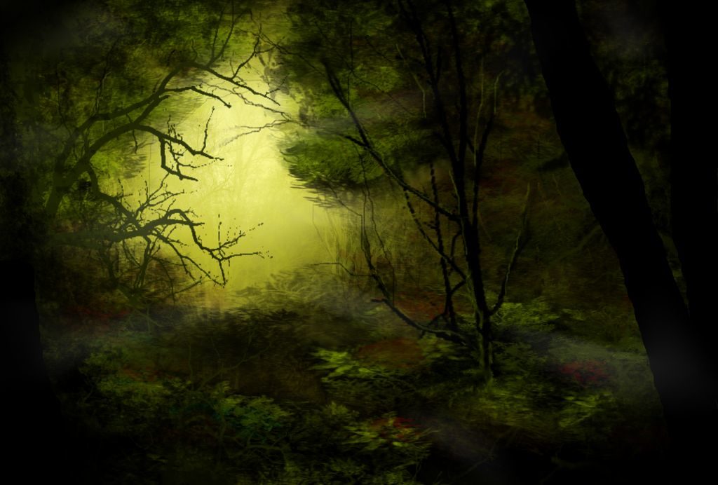 A dark forest with a bright light at the center leading out - first light by sprocket2cog via deviant art