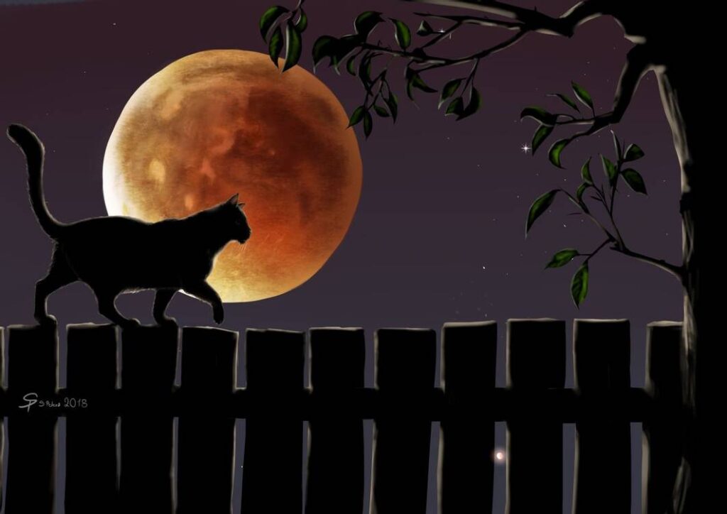 A silhouette of a cat walking along a fence at night under a full moon - blood moon 2018 cat by steffchep via Deviant Art